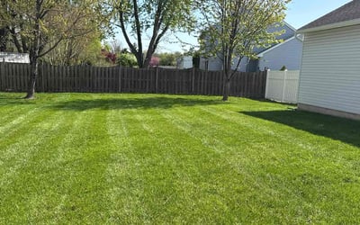 Photo of Jermel W.'s yard after getting lawn care in Lawrence Township, NJ