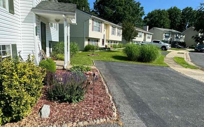 Photo of Sam B.'s yard after getting lawn care in Essex, MD