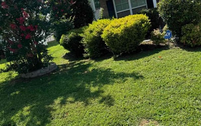 Photo of Katie R.'s yard after getting lawn care in Mocksville, NC
