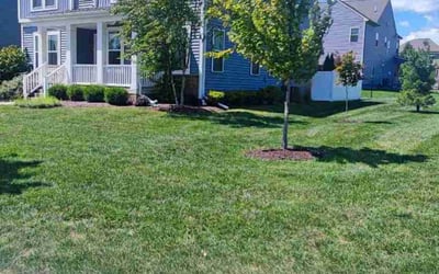 Photo of Gloria P.'s yard after getting lawn care in Frederick, MD