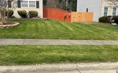 Photo of Jennifer C.'s yard after getting lawn care in Oxon Hill, MD
