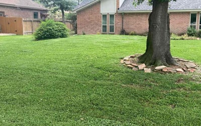 Photo of Kimberly D.'s yard after getting lawn care in Avondale, AZ