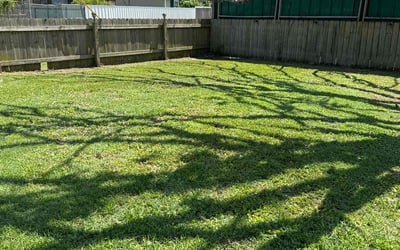 Photo of Bill M.'s yard after getting lawn care in Hacienda Heights, CA
