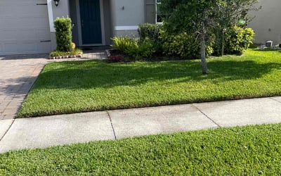 Photo of Samantha S.'s yard after getting lawn care in Ocoee, FL