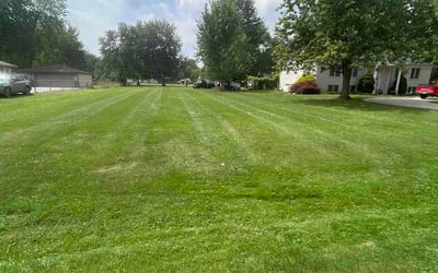 Photo of Marvin W.'s yard after getting lawn care in Brown Deer, WI