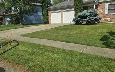 Photo of Max Y.'s yard after getting lawn care in Wendell, NC