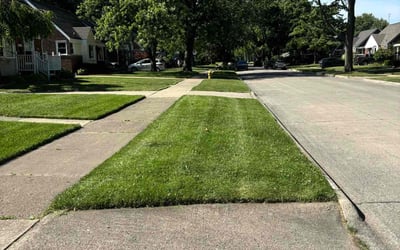 Photo of Kevin F.'s yard after getting lawn care in Berkley, MI