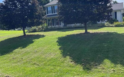 Photo of Jacqueline B.'s yard after getting lawn care in Davison, MI