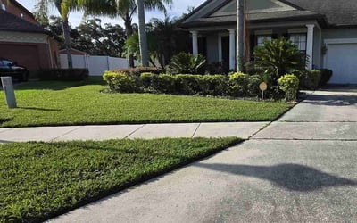 Photo of Nayalin E.'s yard after getting lawn care in Wayne, MI