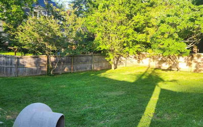 Photo of Heather F.'s yard after getting lawn care in Salisbury, MD