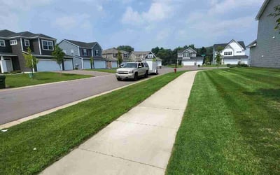 Photo of Vidhya N.'s yard after getting lawn care in Chelmsford, MA