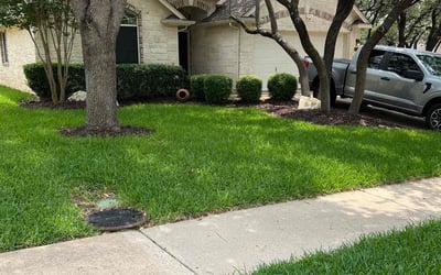 Photo of Rachel W.'s yard after getting lawn care in St. Louis, MO
