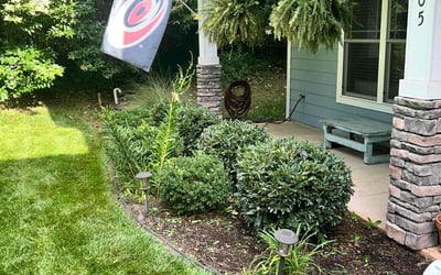 Photo of Michele M.'s yard after getting lawn care in Camillus, NY