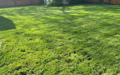 Photo of Michael W.'s yard after getting lawn care in Eastlake, OH