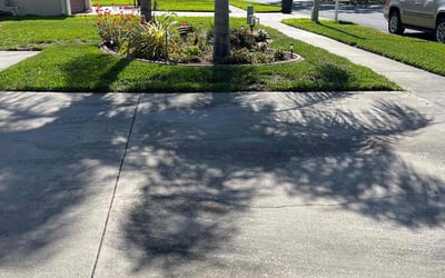 Photo of Amanda L.'s yard after getting lawn care in Tarpon Springs, FL