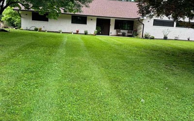 Photo of Michelle E.'s yard after getting lawn care in Pikesville, MD
