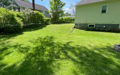 Photo of Tanya S.'s yard after getting lawn care in Albany, NY