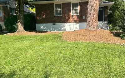 Photo of Jaliyla W.'s yard after getting lawn care in Auburn, GA
