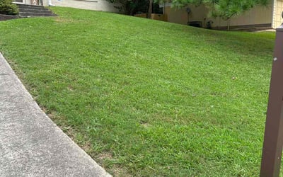 Photo of Carol D.'s yard after getting lawn care in Lithonia, GA