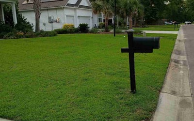 Photo of Xavier B.'s yard after getting lawn care in Griffin, GA