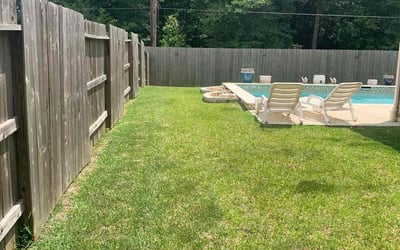 Photo of Jane B.'s yard after getting lawn care in Middletown, RI