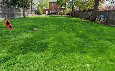 Photo of Derrick C.'s yard after getting lawn care in Cicero, IL