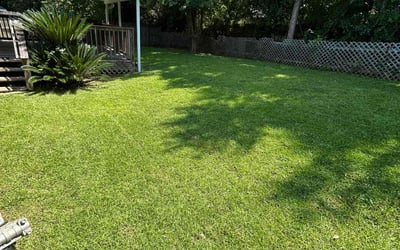 Photo of Temmora L.'s yard after getting lawn care in Arlington, TN