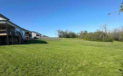Photo of Penelope B.'s yard after getting lawn care in Spring Hill, TN