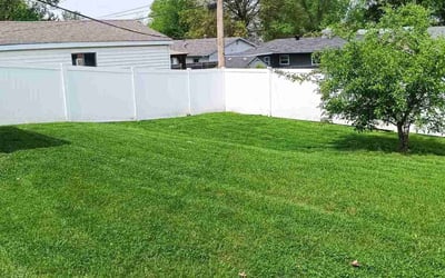 Photo of Holden C.'s yard after getting lawn care in St. Louis, MO