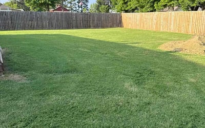 Photo of Heather C.'s yard after getting lawn care in Kenosha, WI