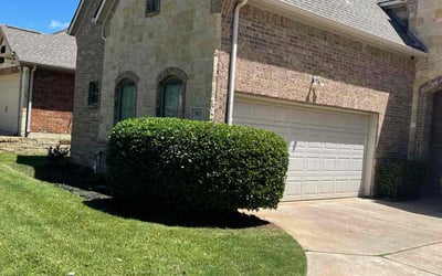 Photo of Steve K.'s yard after getting lawn care in Zephyrhills, FL