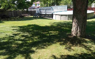Photo of Steve M.'s yard after getting lawn care in Hamburg, NY