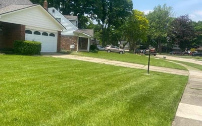 Photo of Brandon E.'s yard after getting lawn care in Southfield, MI
