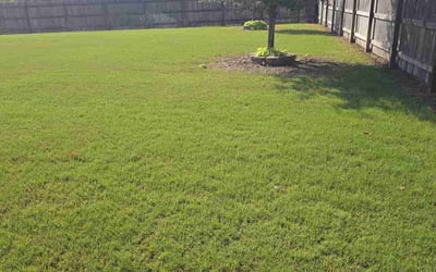 Photo of Heather C.'s yard after getting lawn care in Elkton, MD
