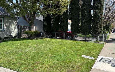 Photo of Joe r.'s yard after getting lawn care in West Sacramento, CA