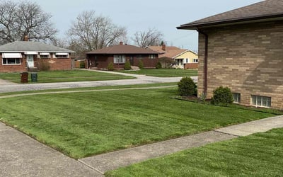 Photo of Angela M.'s yard after getting lawn care in Parma, OH