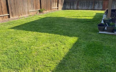 Photo of Keri K.'s yard after getting lawn care in Bakersfield, CA