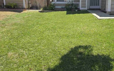 Photo of Dianne P.'s yard after getting lawn care in Streetsboro, OH