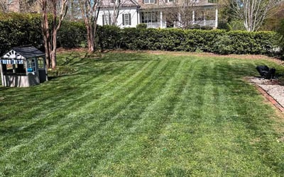 Photo of Angela S.'s yard after getting lawn care in Concord, NH