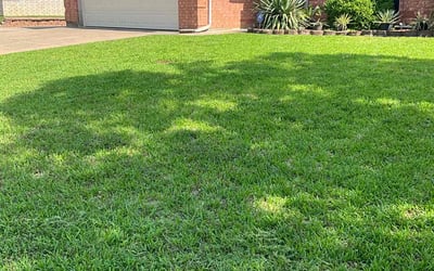 Photo of Tara A.'s yard after getting lawn care in Spring Valley, CA