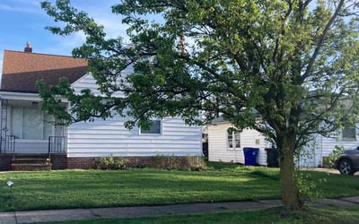 Photo of Imani W.'s yard after getting lawn care in Lagrange, OH
