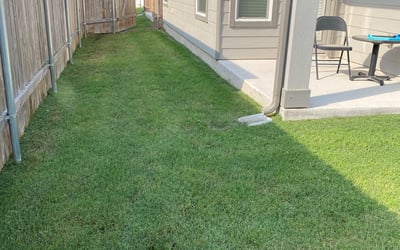 Photo of David C.'s yard after getting lawn care in Manor, TX