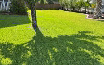 Photo of Stephanie H.'s yard after getting lawn care in Panama City, FL