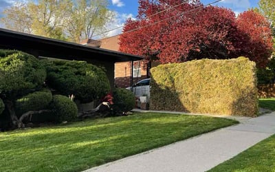 Photo of Valerie D.'s yard after getting lawn care in Tooele, UT