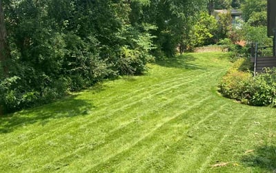 Photo of Nancy C.'s yard after getting lawn care in Rock Island, IL