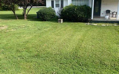 Photo of Maria G.'s yard after getting lawn care in Bon Aqua, TN