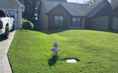 Photo of Charlotte K.'s yard after getting lawn care in Saint Albans, NY