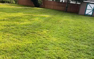 Photo of Cheryl L.'s yard after getting lawn care in Windsor Locks, CT
