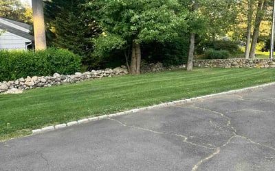 Photo of Emily R.'s yard after getting lawn care in Norwalk, CT