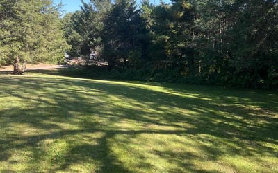 Photo of Leonard B.'s yard after getting lawn care in Stillwater, MN